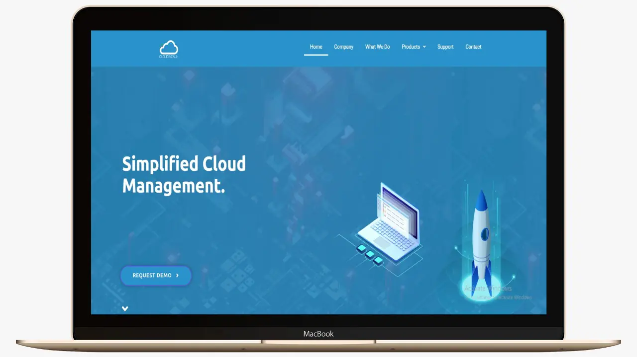 avp web solution (10)